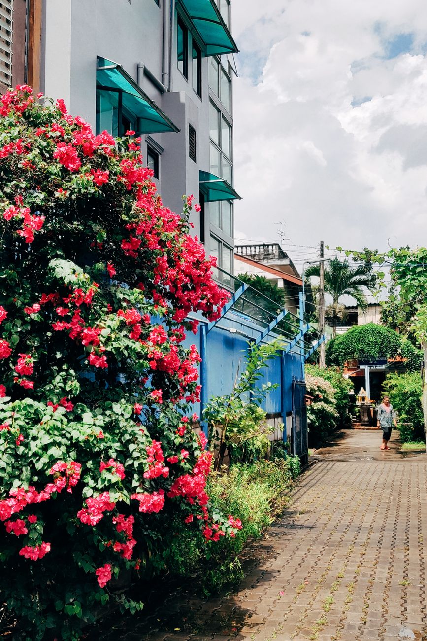 Streets of Chiang Mai