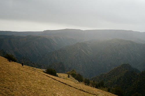 From above picturesque view of high mounts with growing trees under sky with clouds