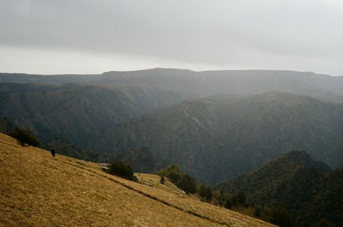 Free From above picturesque view of high mounts with growing trees under sky with clouds Stock Photo