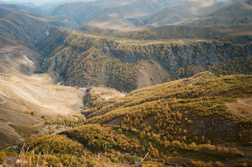 Picturesque scenery of mountainous valley covered with lush golden trees and grass on autumn day