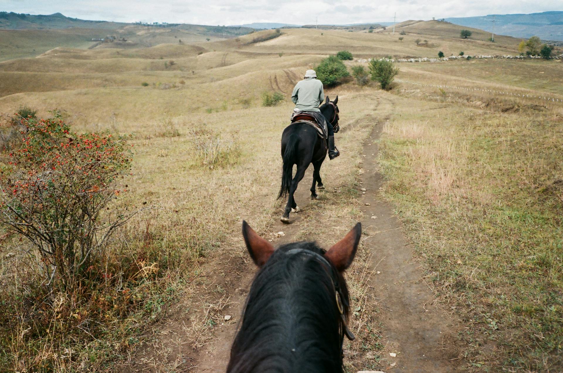 Anonymous jockey riding horse in mountainous countryside