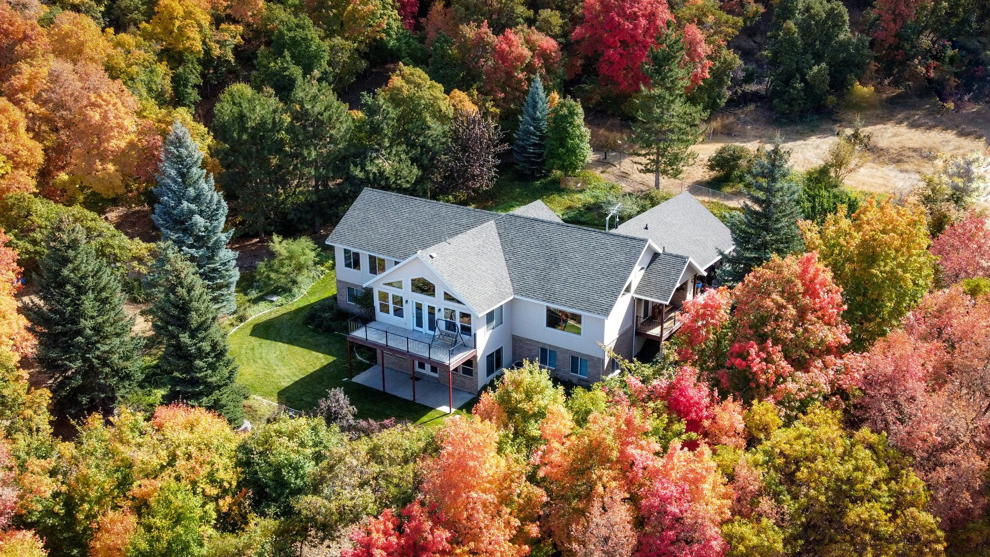 An Aerial Shot Of A House Surrounded By Trees · Free Stock Photo