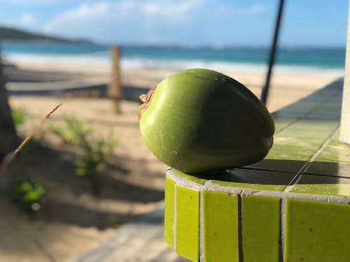 Free stock photo of beach, coconut