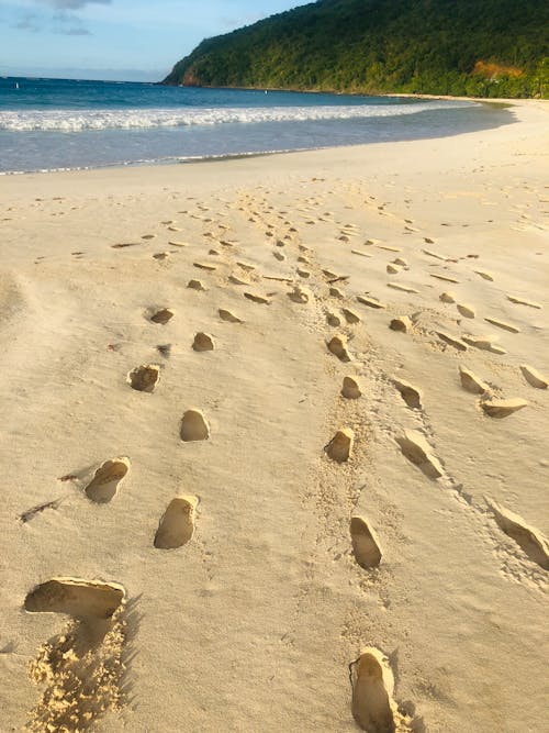 Free stock photo of beach, footprints, pisadas en la arena
