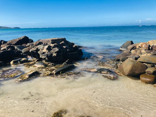 Free stock photo of beach, beach stone