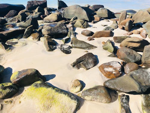 Free stock photo of beach stones