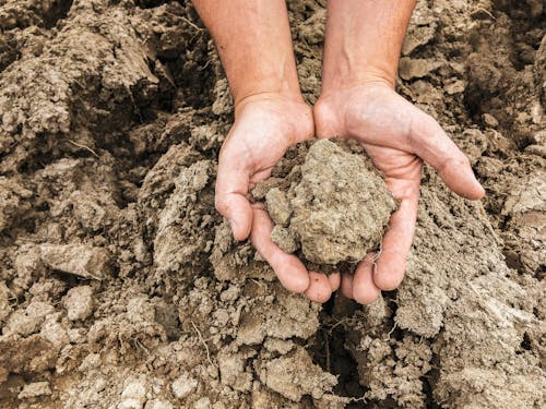 Gratis stockfoto met bodem, boven het hoofd, gebied