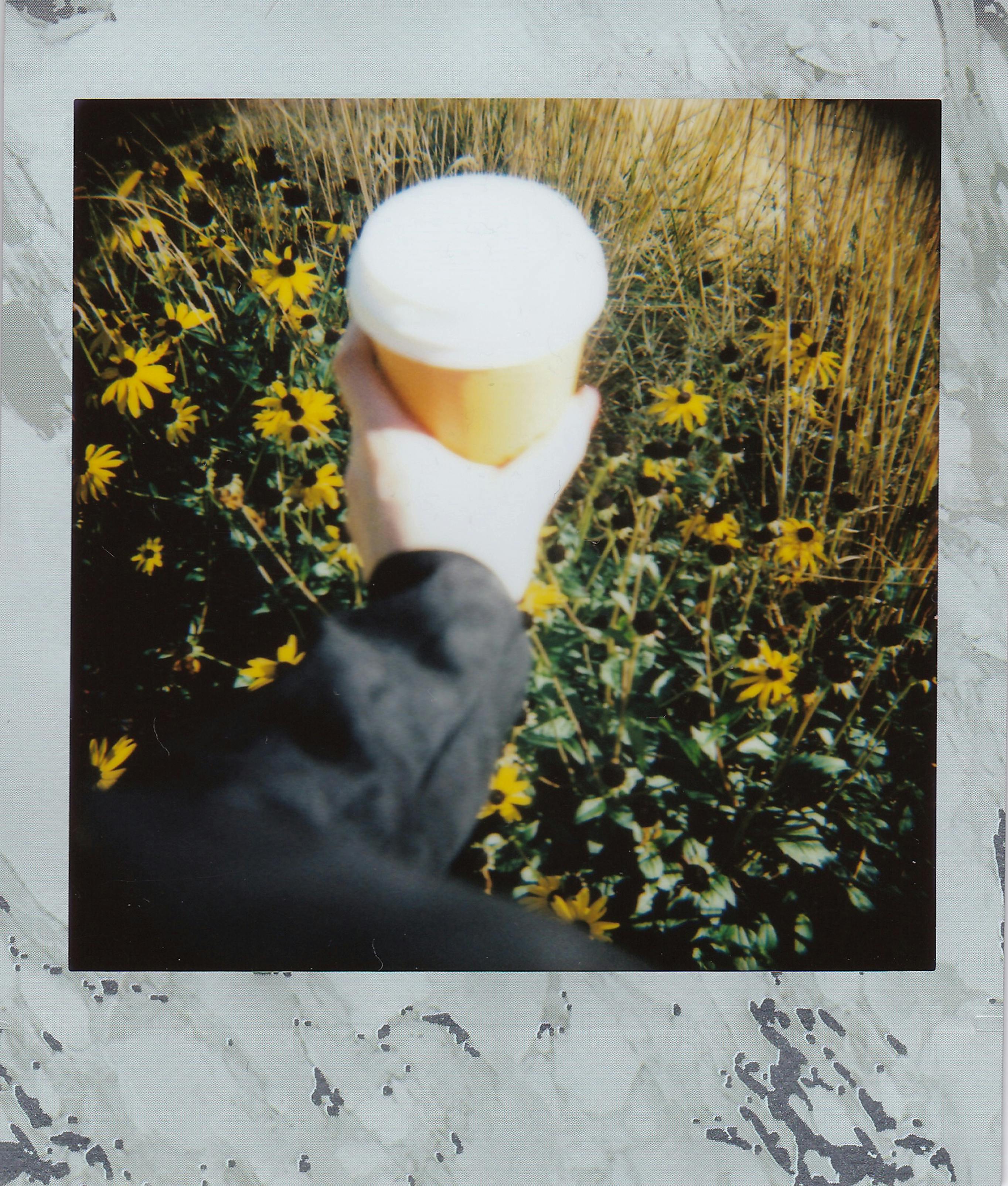 Hand holding coffee in a sunny flower field, creating a vibrant and cozy atmosphere.