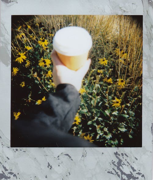 Free Close-up Photo of an Instant Film Stock Photo