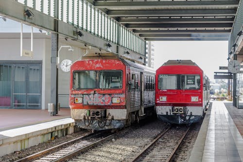 Trains on Platforms