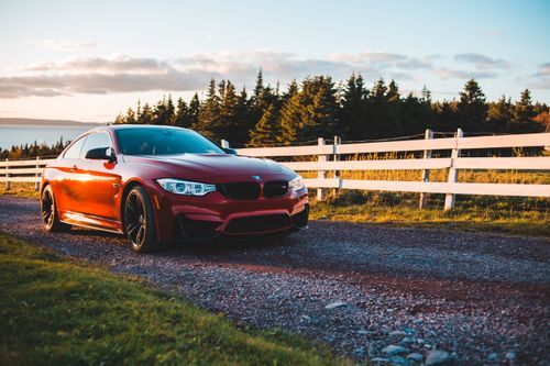 Free Stylish red coupe car parked on rough rural road near fenced meadow and coniferous trees growing on lake shore Stock Photo