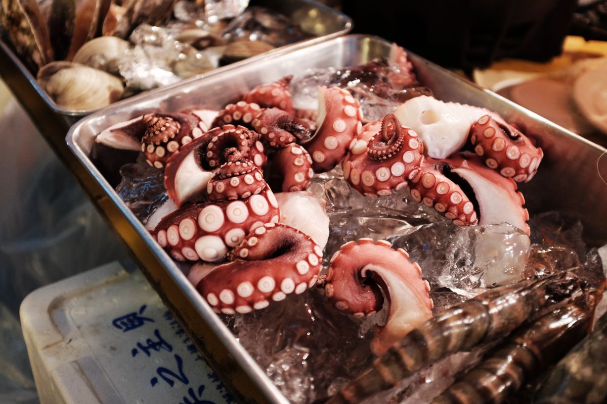 얼음 위에 올려 진열된 신선한 낙지 다리