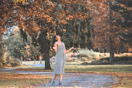 Fotobanka s bezplatnými fotkami na tému jeseň, pád, park