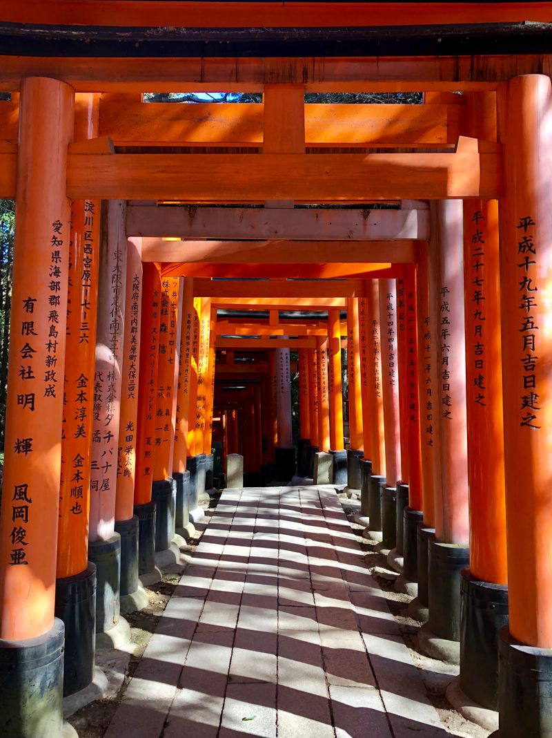 Pasillo de torii rojos en Fushimi Inari, Kioto