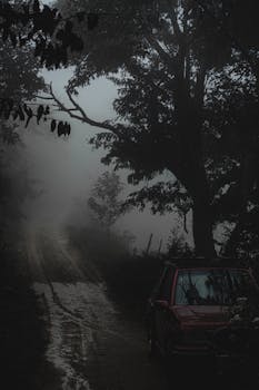 Red car driving on narrow wet road among green trees in foggy weather with smoke in summer morning in countryside