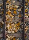 Old Wooden and Rusted Trails with Gravel and Yellow Leaves