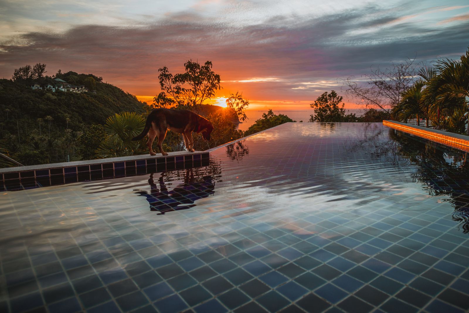 Koh Phangan: 7,9 miljarder baht i utländska fastighetsinvesteringar och vad det innebär för dig som köpare 2026