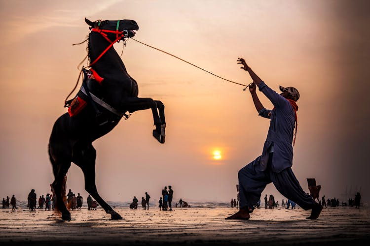 Man Taming Bucking Horse On Wet Beach At Sunset