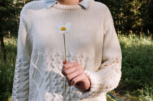 A Person Holding a Chamomile Flower 