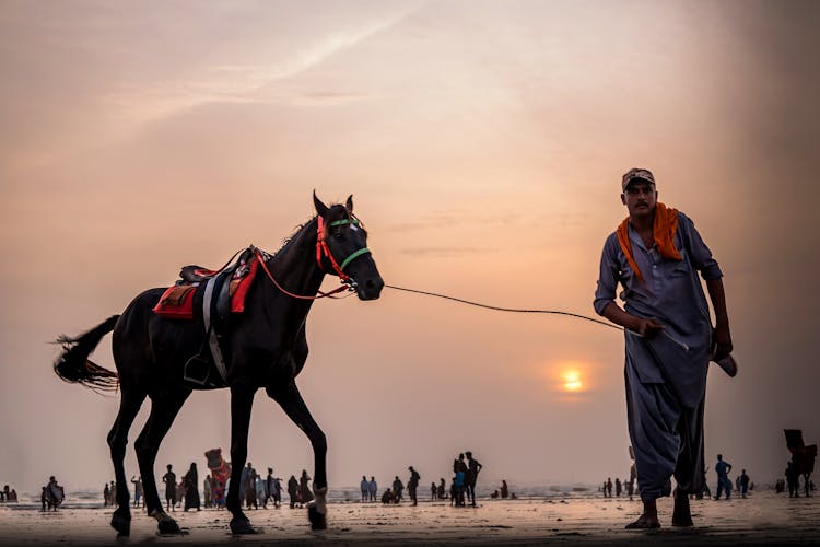 Ethnic Man Walking Horse Near Picturesque Beach