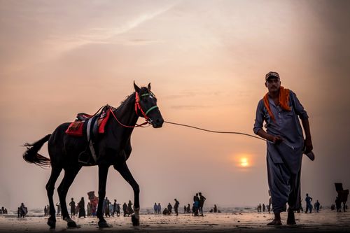 Free People spending time on wet sandy beach behind Arabian man walking with dark brown horse equipped with red saddle at sunset Stock Photo