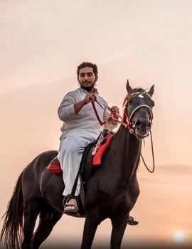 Serious young Arabian man in white clothes carrying reins of equipped horse while riding along rural area at sunset