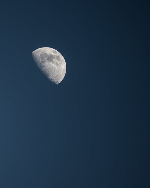 Low angle of bright white half disk of moon with craters on surface of clear blue sky