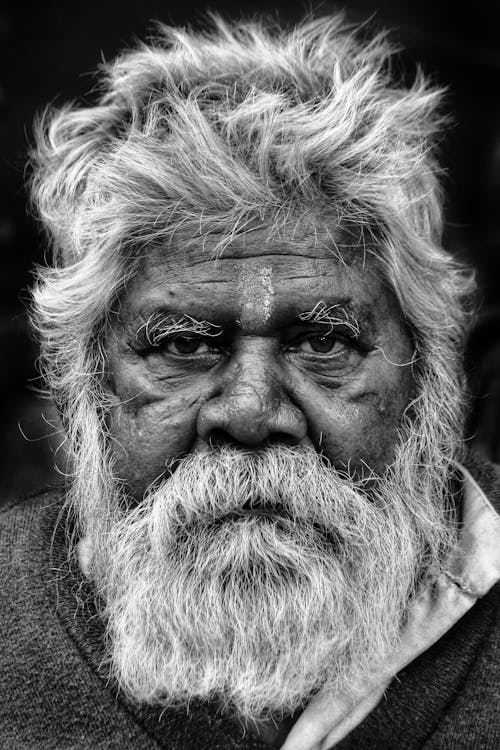 Foto d'estoc gratuïta de ancians, barba, blanc i negre