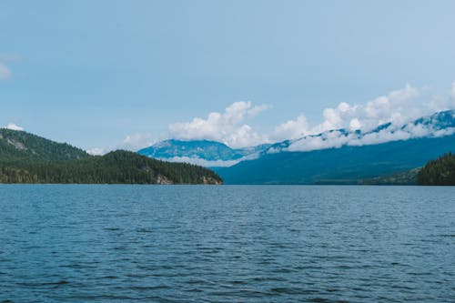 Základová fotografie zdarma na téma jezero, kopec, les