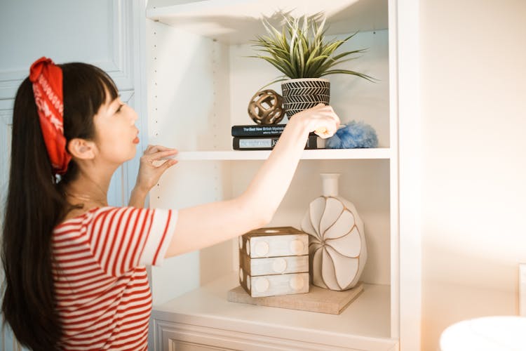 Back View Of A Woman Cleaning