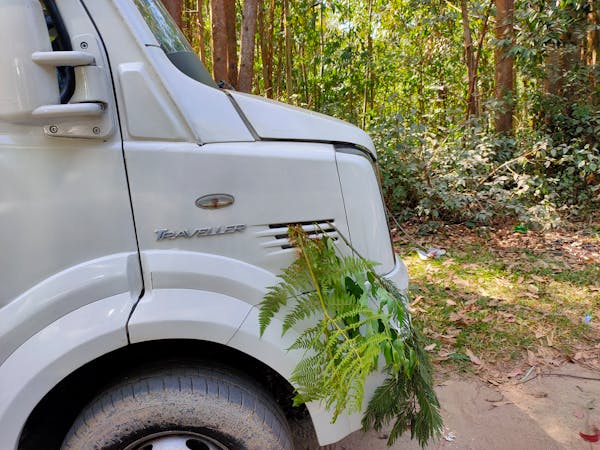 Hands performing traditional tea ceremony movements with bamboo whisk and ceramic bowl