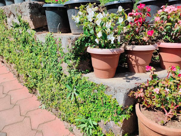 Business professionals in suits participating in tea ceremony in modern conference room