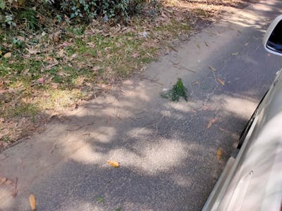 Set of traditional ceramic tea bowls with natural earth tones and subtle glazing