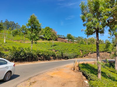 Elegant wooden box containing seasonal matcha powder, traditional sweets, and ceremonial accessories