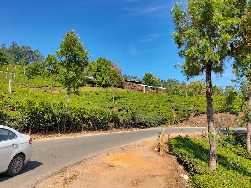 Best Vacuums for Hardwood Floors: Protect & Clean