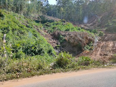 Cherry blossoms and traditional tea ceremony setup representing spring season