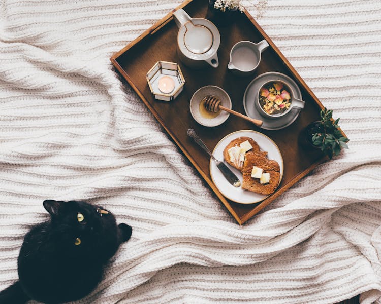 Tray With Snack Near Cat On Bed