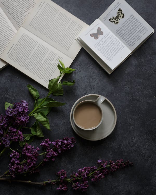 Free Top view of ceramic cup of coffee with milk on saucer near opened books with pictures of butterflies and fresh blossom flowers Stock Photo