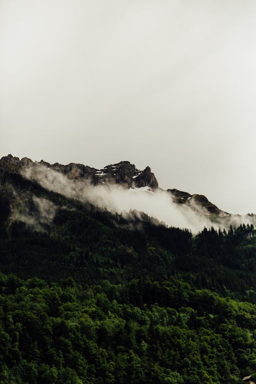 Cume Da Montanha Com Floresta Verde Nas Nuvens