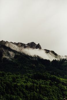 云雾缭绕的山峰宁静而美丽，下方绿树成荫