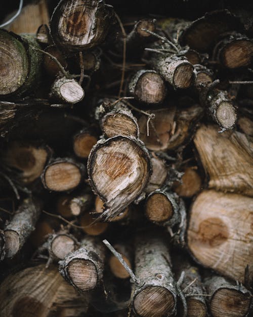 Background of dry uneven logs stacked together in huge heap in countryside area