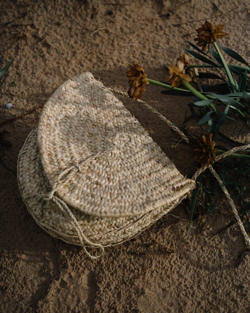 Free From above of straw wicker bag placed on seaside on sand near withered flowers on long stems in nature under sunlight Stock Photo
