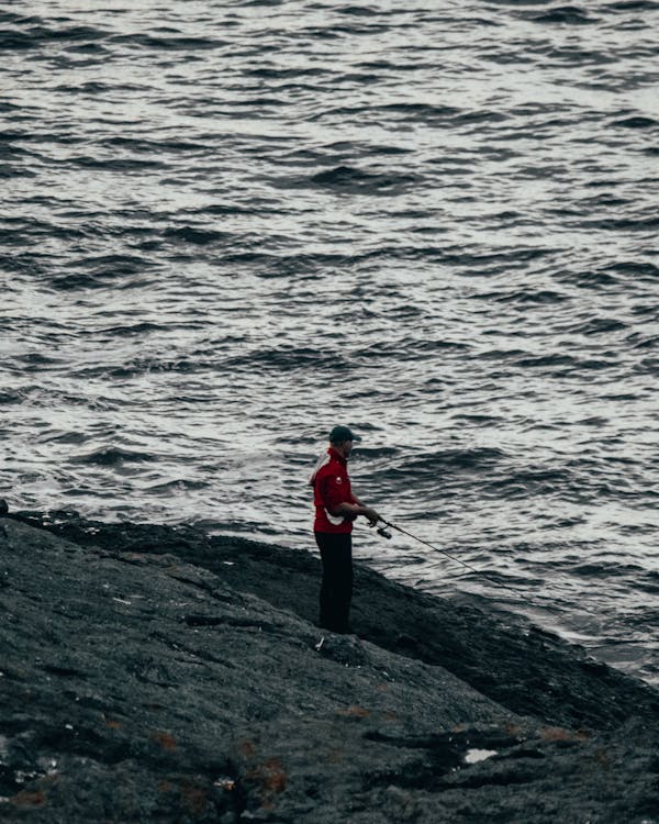 薄茶セッション