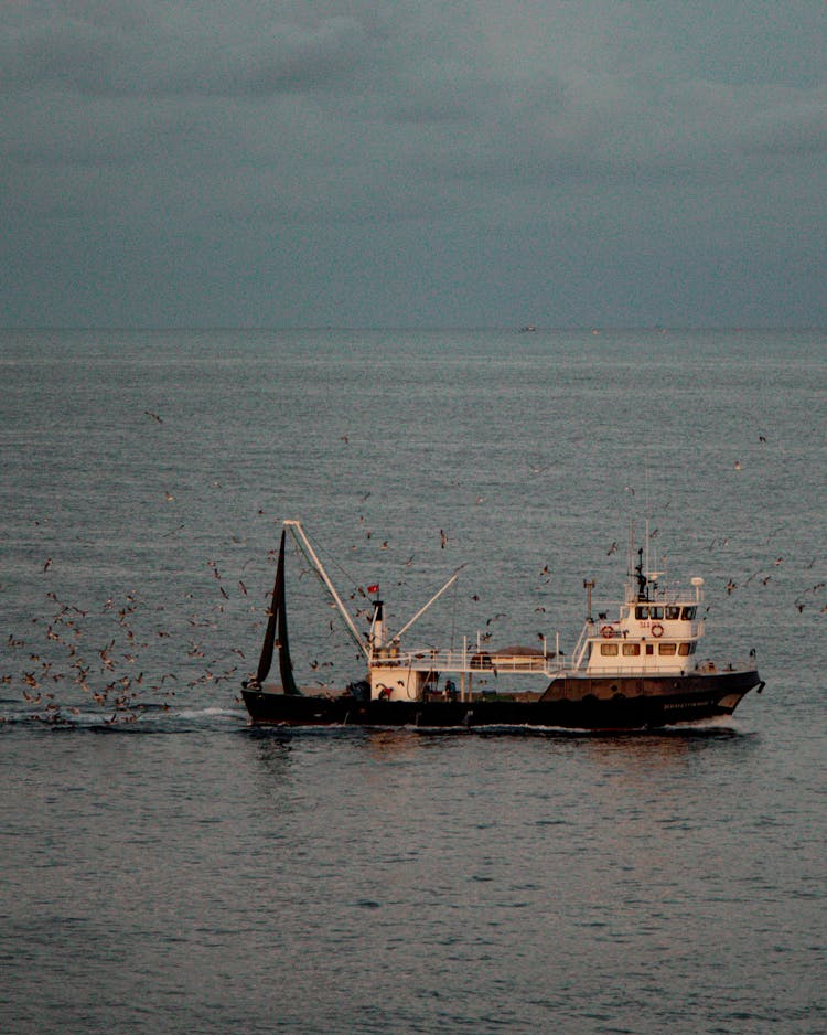 Large Fishing Trawler Boat On Sea