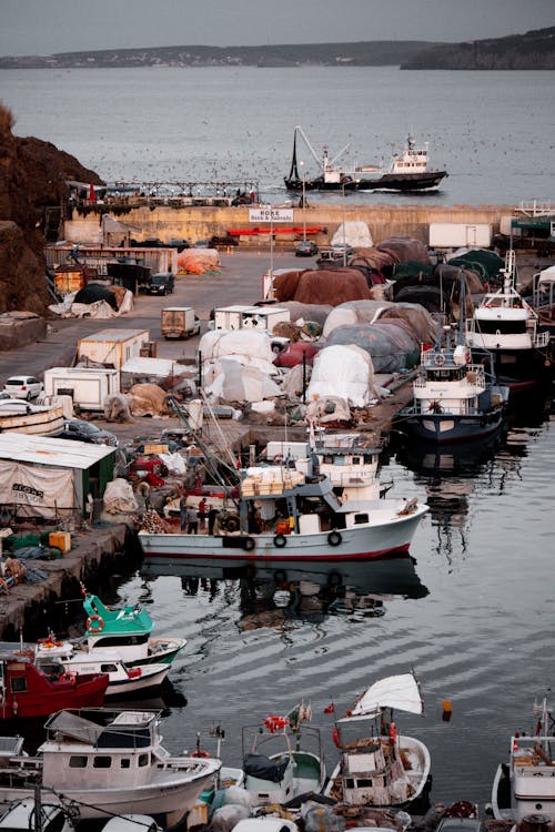 Fishing Boats On Dock At Daytime