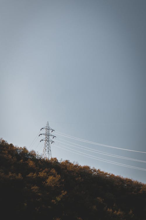 Power lines on deciduous hill slope