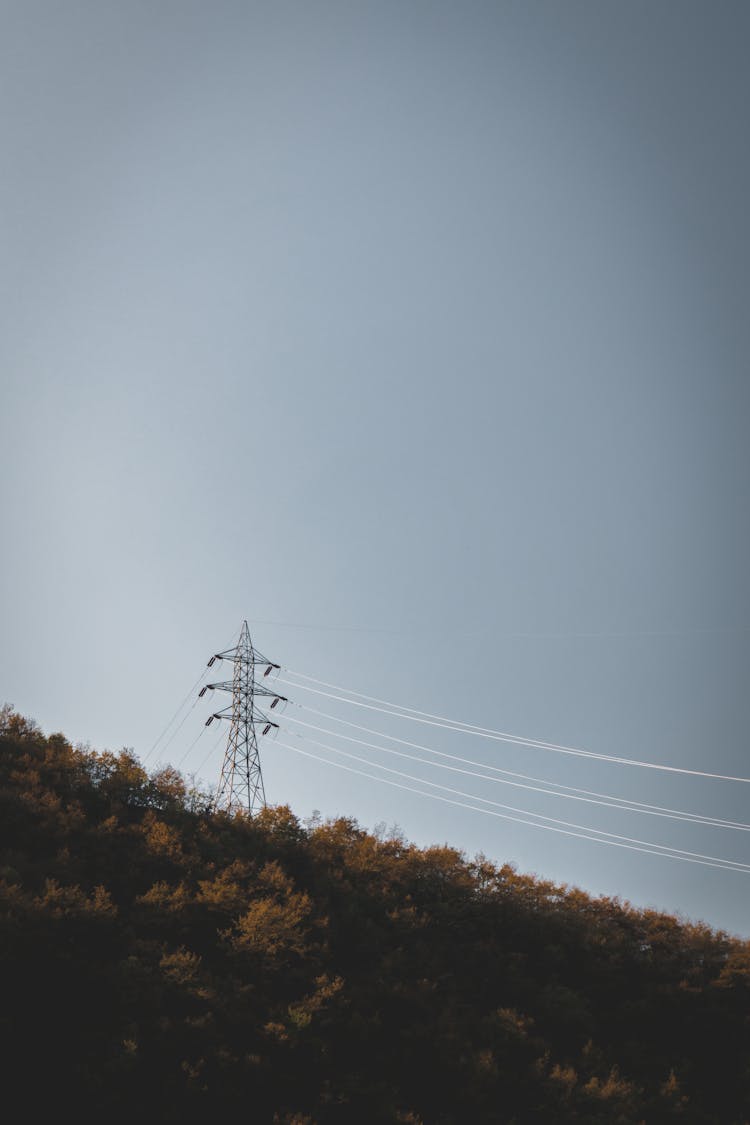 Power Lines On Deciduous Hill Slope