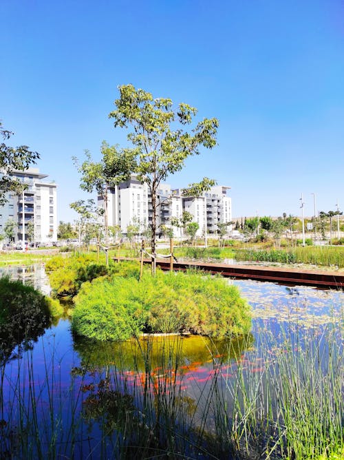 Free stock photo of lake, urban