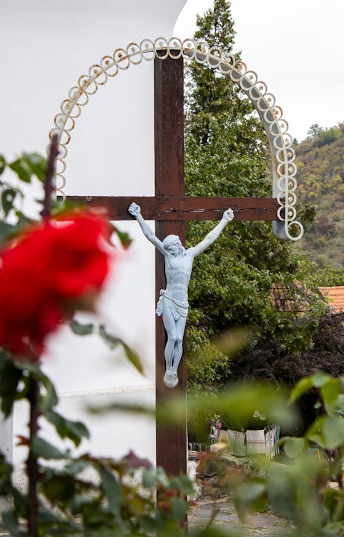 Imagine de stoc gratuită din cimitir, cruce, flori