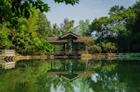 View of a Pond in a Park
